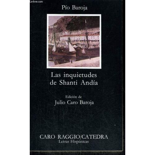 Las Inquietudes De Shanti Andia