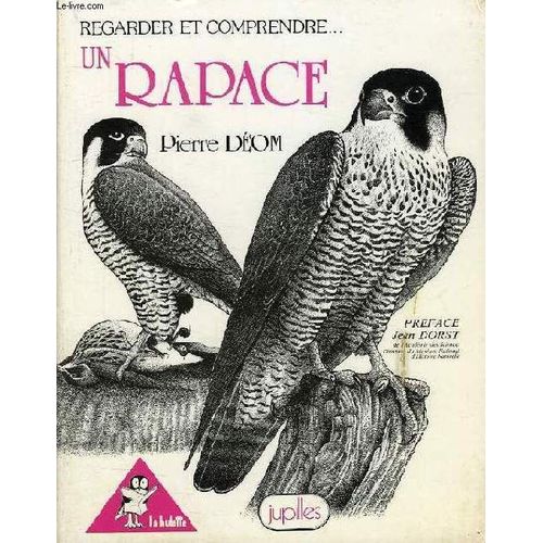Regarder Et Comprendre Un Rapace