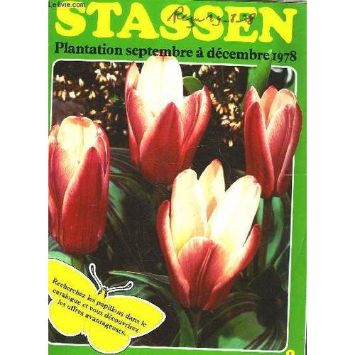 Stassen - Plantation Septembre A Decembre 1978 - Catalogue