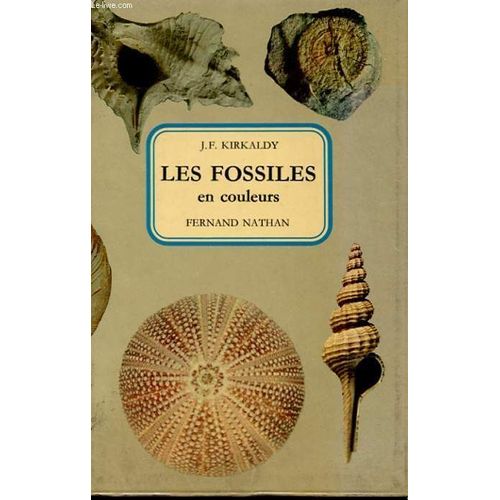 Les Fossiles En Couleurs