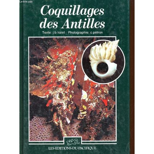 Coquillages Des Antilles