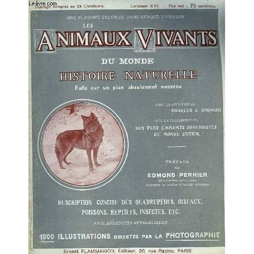 Les Animaux Vivants Du Monde. Livraison Xvi