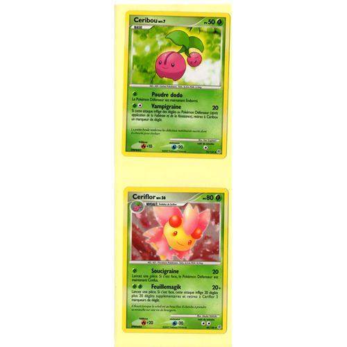 Ceribou 50pv (75/130) + Ceriflor 80pv (45/130)