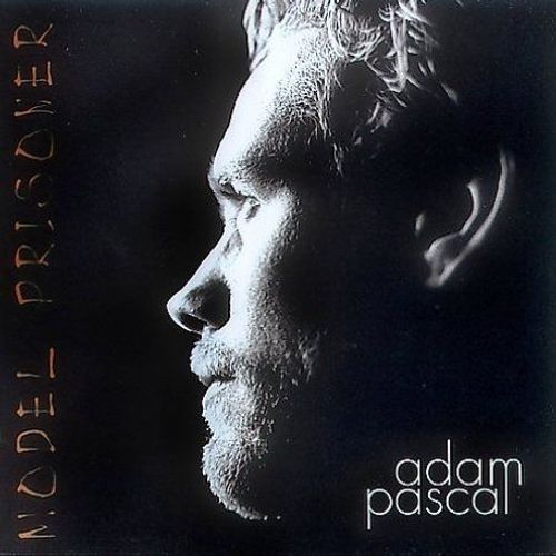 Model Prisoner