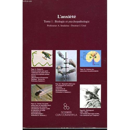 L'anxiete. Tome 1: Biologie Et Psychopathologie