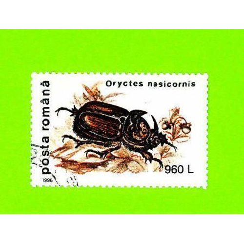 Timbre Oblitéré Used Mint Stamp Selo Carimbado Oryctes Nasicornis 960 L Roumanie 1996