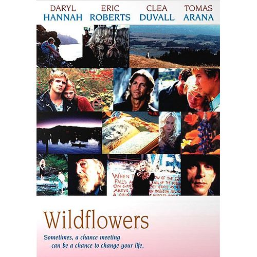 Wildflowers