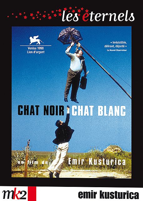 Chat noir chat blanc