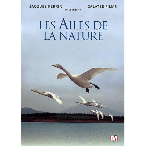 Les Ailes De La Nature