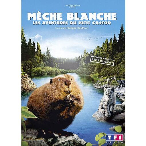 Mèche Blanche, les aventures du petit castor