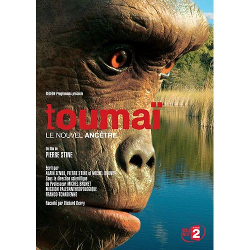 Toumaï, Le Nouvel Ancêtre