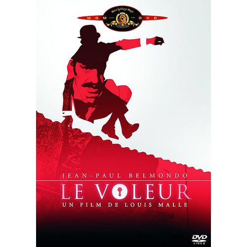 Le Voleur