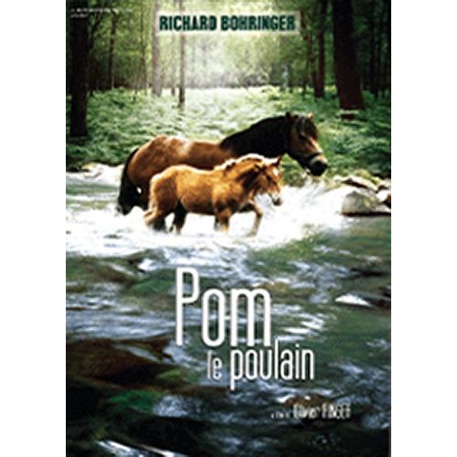 Pom, Le Poulain