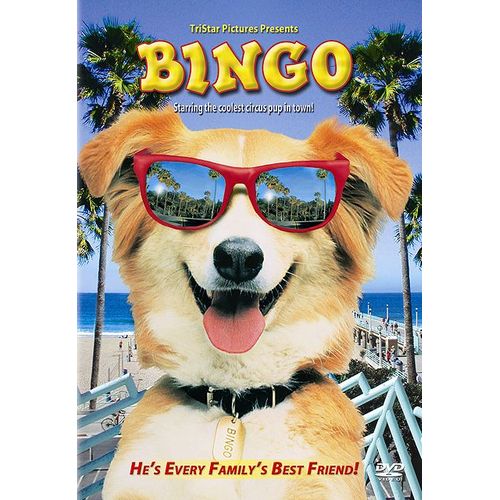 Bingo
