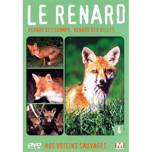 Nos Voisins Sauvages Vol. 4 - Le Renard : Renard Des Champs, Renard Des Villes