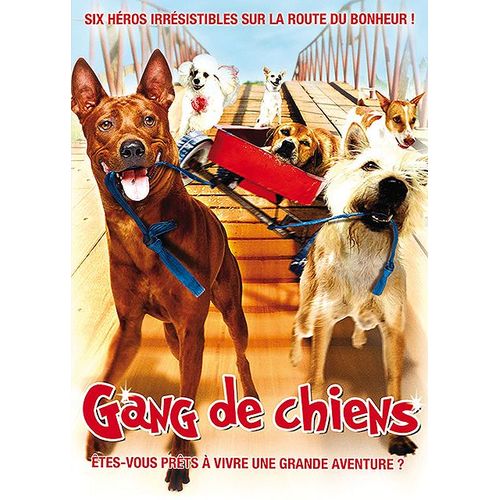 Dogs ! La Folle Aventure