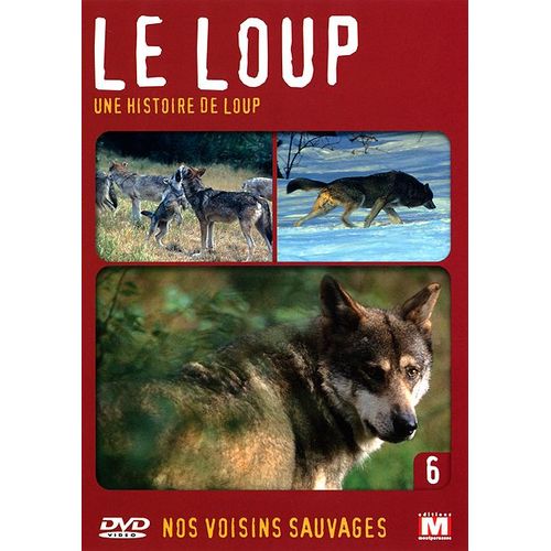Nos Voisins Sauvages Vol. 6 - Le Loup : Une Histoire De Loup