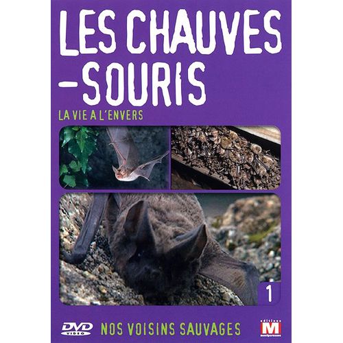 Nos Voisins Sauvages Vol. 1 - Les Chauves-Souris : La Vie À L'envers