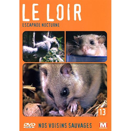 Nos Voisins Sauvages Vol. 13 - Le Loir : Escapade Nocturne