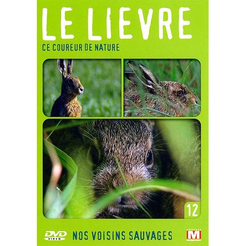 Nos Voisins Sauvages Vol. 12 - Le Lièvre : Ce Coureur De Nature