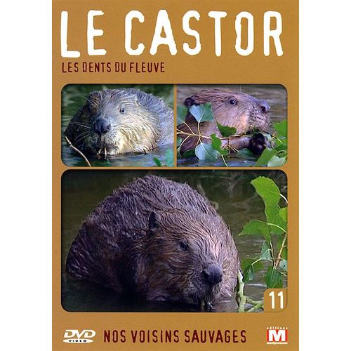 Nos Voisins Sauvages Vol. 11 - Le Castor : Les Dents Du Fleuve