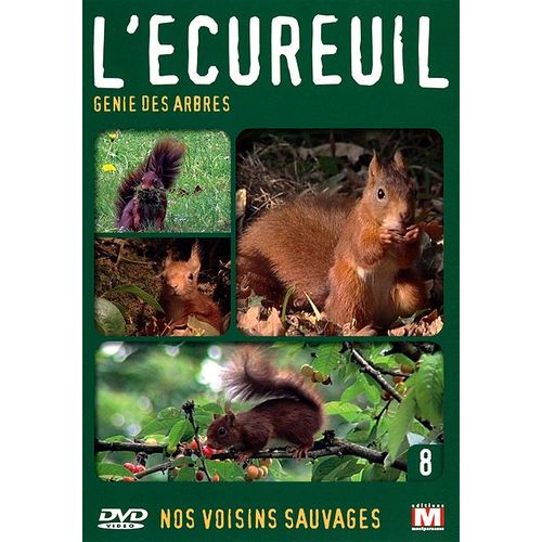 Nos Voisins Sauvages Vol. 8 - L'écureuil : Génie Des Arbres
