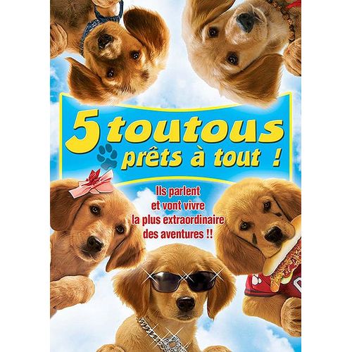 5 Toutous Prêts À Tout !