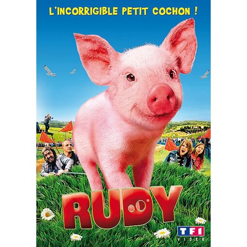 Rudy, l'incorrigible petit cochon !