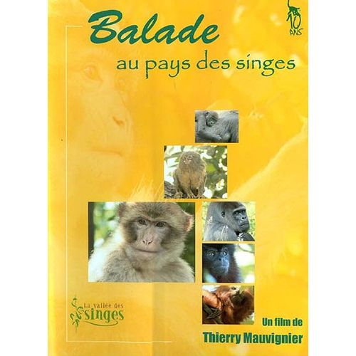 Ballade Au Pays Des Singes