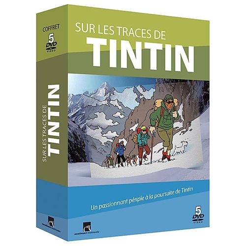 Sur Les Traces De Tintin