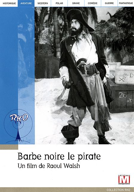 Barbe Noire Le Pirate