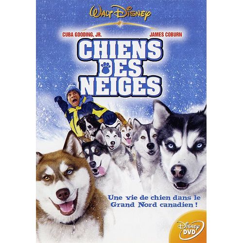 Chiens Des Neiges