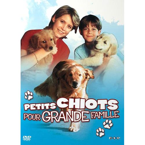 Petits Chiots Pour Grande Famille