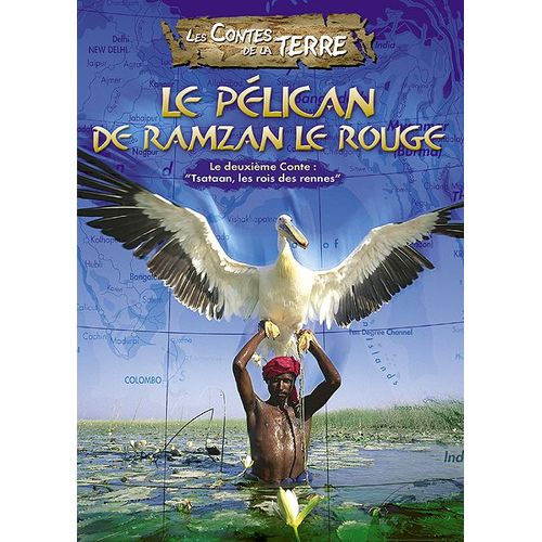 Le Pélican De Ramzan Le Rouge