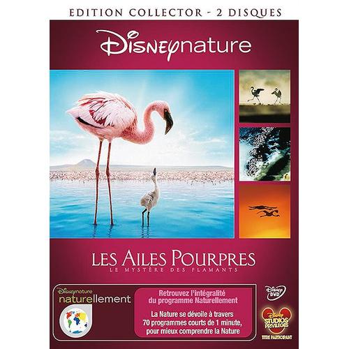 Les Ailes Pourpres : Le Mystère Des Flamants - Édition Collector