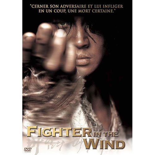 Fighter In The Wind