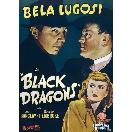Black Dragons