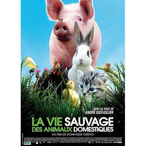 La Vie Sauvage Des Animaux Domestiques