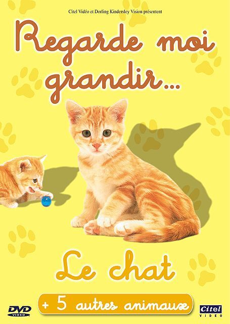 Regarde Moi Grandir Le Chat Dvd Zone 2 Rakuten