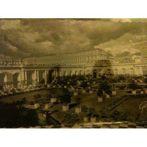Versailles - Le Château, L'orangerie