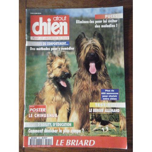 Atout Chien  N° 124 : Le Briard