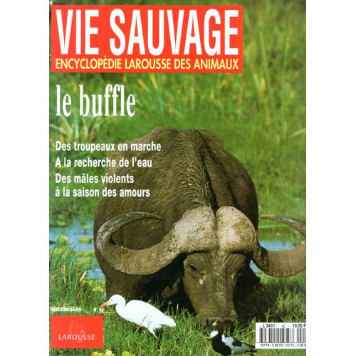 Vie Sauvage  N° 40 : Le Buffle