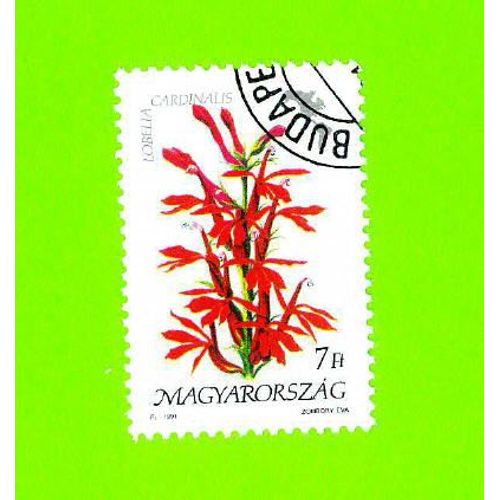 Timbre Oblitéré Used Mint Stamp Selo Carimbado Magyar Posta Magyarorszag Lobelia Cardinalis 7 Hongrie Hungary 1991