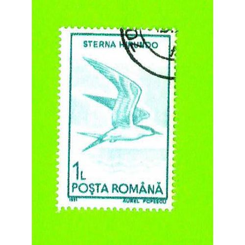Timbre Oblitéré Used Stamp Selo Carimbado Usado 1 Lei Sterna Hirundo Posta Romana Roumanie