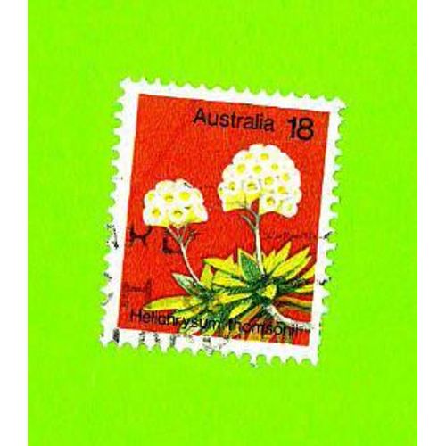 Timbre Oblitéré Used Stamp Selo Carimbado Usado 18 C Helichrysum Thomsonii Wild Flowers Australia Australie 1975