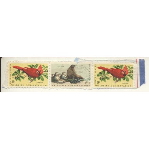 Timbre U S A, Wildlife Conservation, 2 Timbres Cardinal Et 1 Timbre Fur Seal De 8 Cents Oblitérés