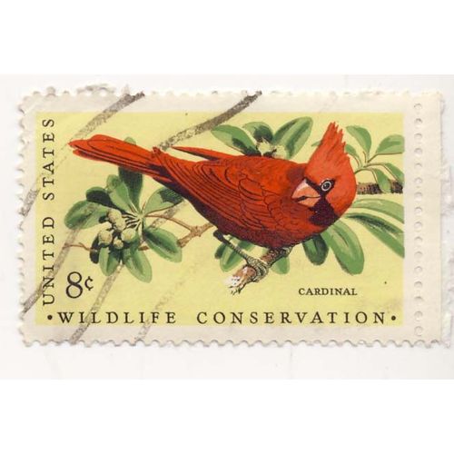 Timbre U S A Wildlife Conservation, Cardinal, 8 Cents Oblitéré