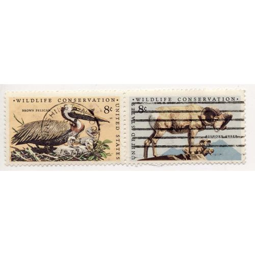 Timbre U S A, Wildlife Conservation, Brown Pelican Et Boghorn Sheep, 8 Cents, Oblitérés