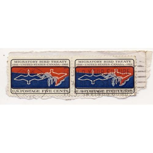 Timbre U S A, Migratory Bird Treaty United States - Canada, 1916 - 1966, U S Postage 5 Cents, Oblitéré