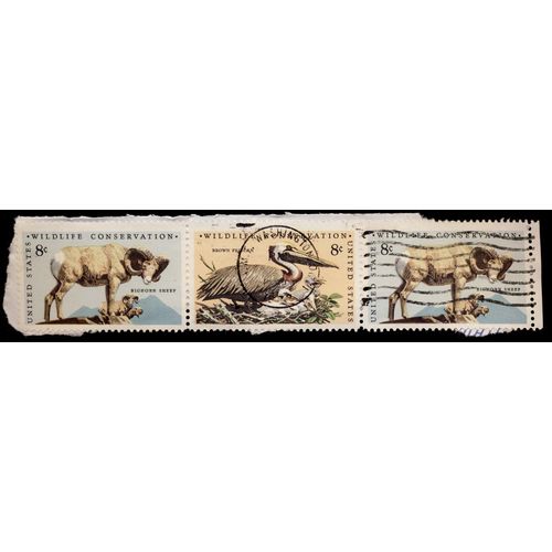 Timbre U S A, Wildlife Conservation, 2 Timbres Bighorn Sheep Et 1 Timbre Brown Pelican De 8 Cents Oblitérés